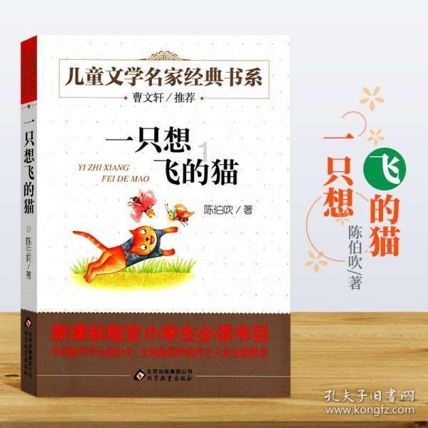 新春走基层 | 奔向团圆的“夜间大巴” 满载思乡情